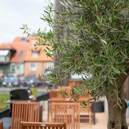 Hafenblick Ferienhaus Malchow (Mecklenburg-Vorpommern)